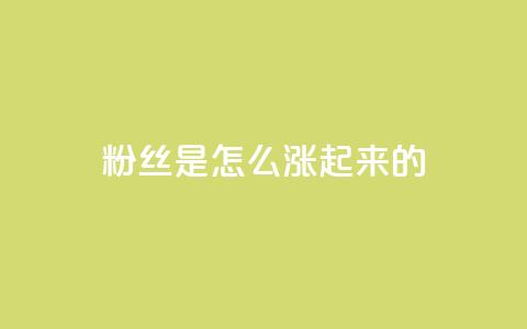 粉丝是怎么涨起来的,qq空间点赞自助 - qq空间说说刷转发数量 qq自助平台全网最低 第1张 粉丝是怎么涨起来的,qq空间点赞自助 - qq空间说说刷转发数量 qq自助平台全网最低 第1张