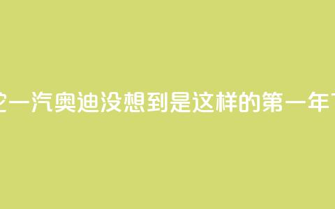 i人掌舵一汽奥迪,“没想到是这样的第一年” 第1张 i人掌舵一汽奥迪,“没想到是这样的第一年” 第1张