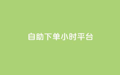 自助下单24小时平台 - 全天候在线自助下单服务! 第1张 自助下单24小时平台 - 全天候在线自助下单服务! 第1张