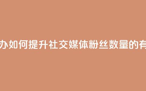 粉丝太少怎么办 - 如何提升社交媒体粉丝数量的有效策略。 第1张 粉丝太少怎么办 - 如何提升社交媒体粉丝数量的有效策略。 第1张