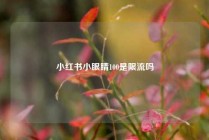 小红书小眼睛100是限流吗