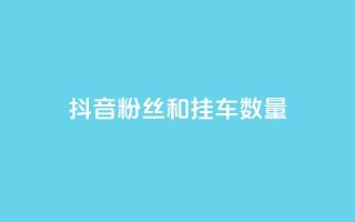 抖音粉丝和挂车数量 - 重写后的标题可以是“抖音用户数量与视频播放次数”!