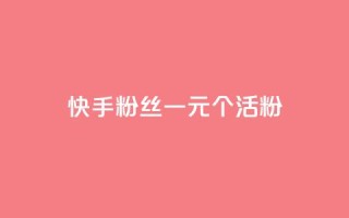快手粉丝一元1000个活粉 - 获取1000个快手活粉只需1元！