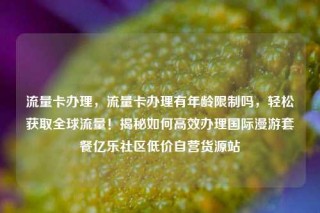 流量卡办理，流量卡办理有年龄限制吗，轻松获取全球流量！揭秘如何高效办理国际漫游套餐亿乐社区低价自营货源站