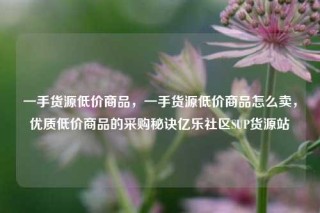 一手货源低价商品，一手货源低价商品怎么卖，优质低价商品的采购秘诀亿乐社区SUP货源站