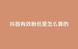 抖音有效粉丝是怎么算的 - 抖音有效粉丝如何计算及其影响因素解析!