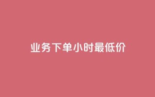 dy业务下单24小时最低价 - dy业务24小时下单限时特价!