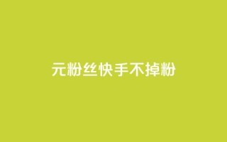 1元3000粉丝快手不掉粉 - 1元在快手增加3000粉丝，轻松不流失!