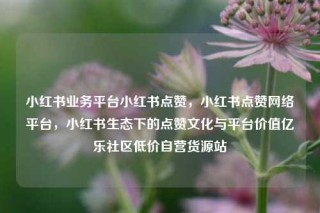 小红书业务平台小红书点赞，小红书点赞网络平台，小红书生态下的点赞文化与平台价值亿乐社区低价自营货源站