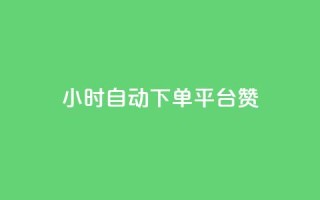 ks24小时自动下单平台赞 - 全新KS24小时智能下单平台助您轻松交易!