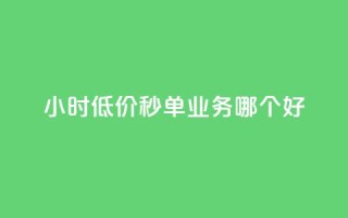 24小时低价秒单业务哪个好 - 哪种24小时低价秒单业务更好？让你省钱又放心!