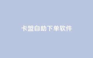 卡盟自助下单软件 - 卡盟自助下单工具全新解析与使用指南！