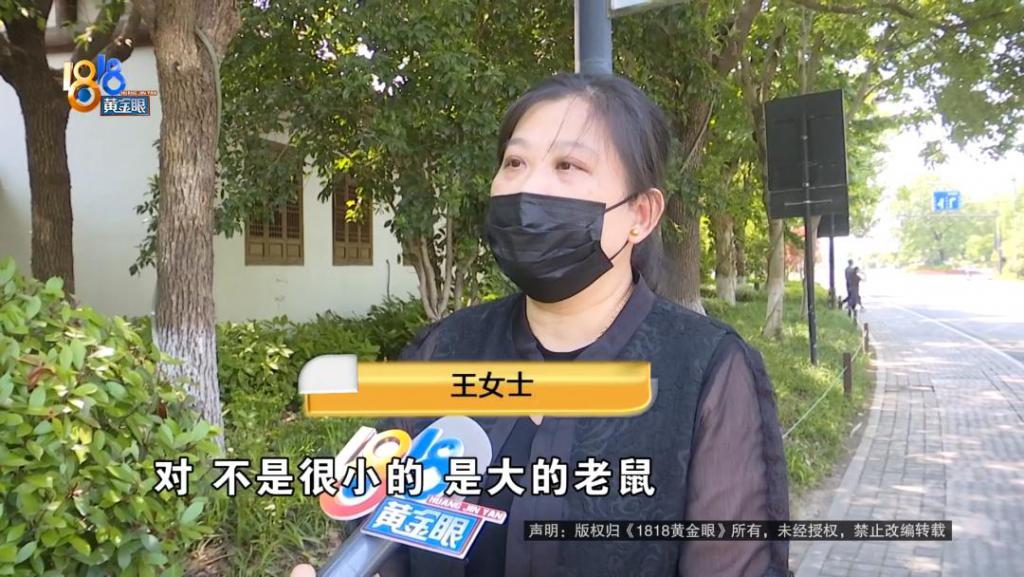 吃完饭一出包厢被大老鼠吓坏了,当事人:退一赔十 第1张 吃完饭一出包厢被大老鼠吓坏了,当事人:退一赔十 第1张
