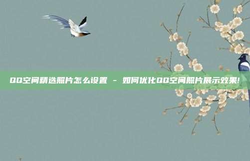 QQ空间精选照片怎么设置 - 如何优化QQ空间照片展示效果!  第1张