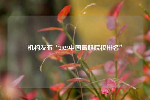 机构发布“2025中国高职院校排名”  第1张