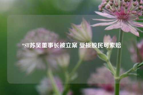*ST苏吴董事长被立案 受损股民可索赔  第1张