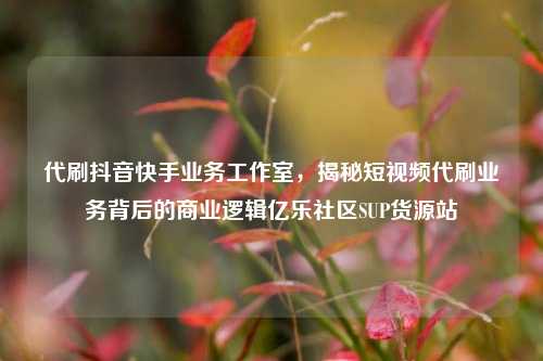 代刷抖音快手业务工作室，揭秘短视频代刷业务背后的商业逻辑亿乐社区SUP货源站  第1张