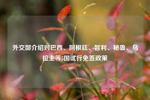 外交部介绍对巴西、阿根廷、智利、秘鲁	、乌拉圭等5国试行免签政策  第1张