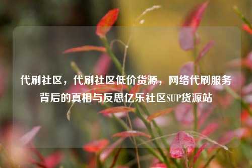 代刷社区	，代刷社区低价货源，网络代刷服务背后的真相与反思亿乐社区SUP货源站  第1张
