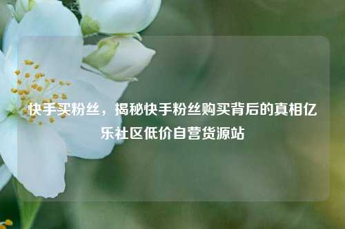 快手买粉丝，揭秘快手粉丝购买背后的真相亿乐社区低价自营货源站  第1张