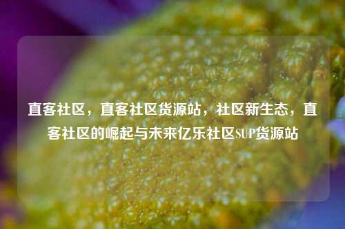 直客社区，直客社区货源站	，社区新生态，直客社区的崛起与未来亿乐社区SUP货源站  第1张