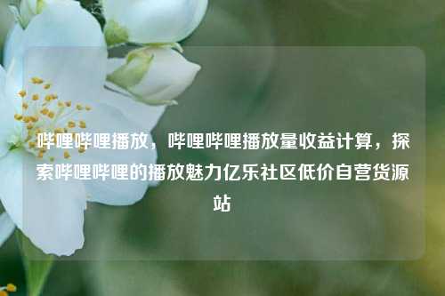 哔哩哔哩播放，哔哩哔哩播放量收益计算	，探索哔哩哔哩的播放魅力亿乐社区低价自营货源站  第1张