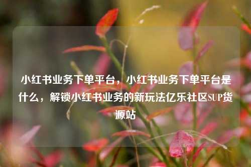 小红书业务下单平台，小红书业务下单平台是什么，解锁小红书业务的新玩法亿乐社区SUP货源站  第1张