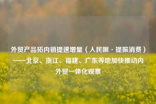 外贸产品拓内销提速增量（人民眼·提振消费）——北京、浙江	、福建、广东等地加快推动内外贸一体化观察  第1张