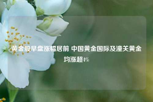 黄金股早盘涨幅居前 中国黄金国际及潼关黄金均涨超4%  第1张