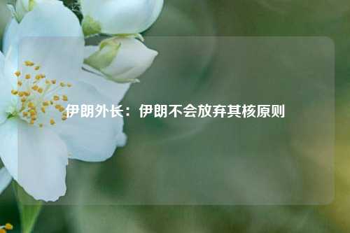 伊朗外长：伊朗不会放弃其核原则  第1张