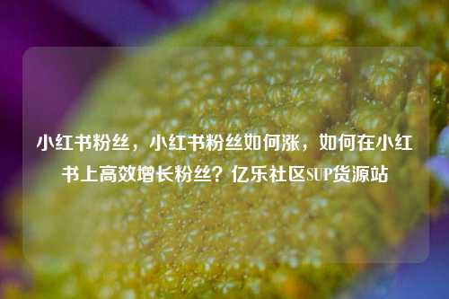 小红书粉丝，小红书粉丝如何涨，如何在小红书上高效增长粉丝？亿乐社区SUP货源站  第1张
