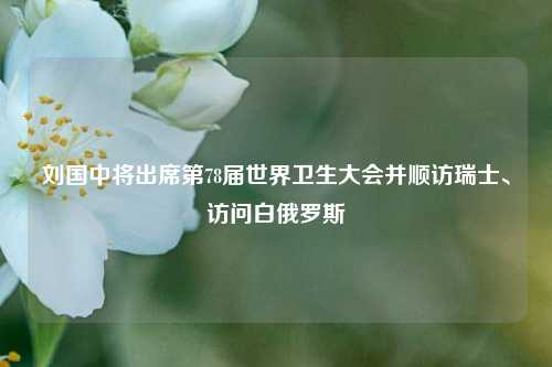 刘国中将出席第78届世界卫生大会并顺访瑞士	、访问白俄罗斯  第1张