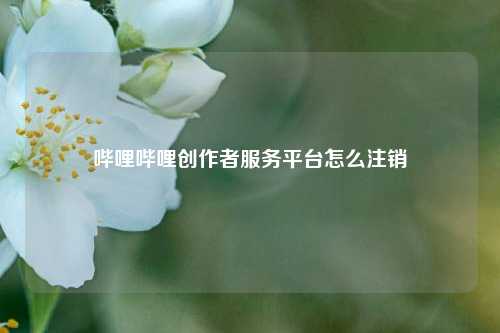 哔哩哔哩创作者服务平台怎么注销  第1张