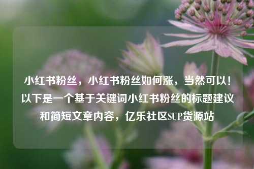 小红书粉丝，小红书粉丝如何涨，当然可以！以下是一个基于关键词小红书粉丝的标题建议和简短文章内容，亿乐社区SUP货源站  第1张