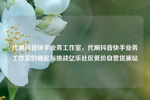 代刷抖音快手业务工作室，代刷抖音快手业务工作室的崛起与挑战亿乐社区低价自营货源站  第1张