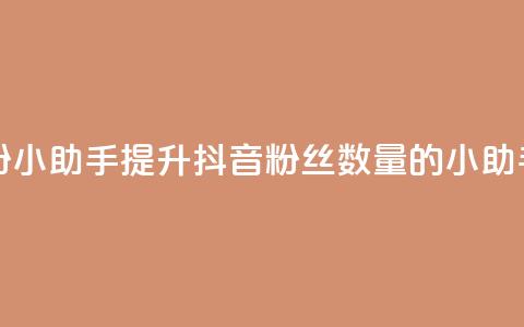 抖音涨粉小助手app(提升抖音粉丝数量的小助手)  第1张