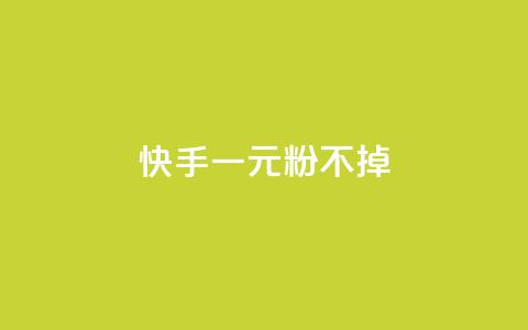 快手一元10000粉不掉,快手热门助手app - 自助下单平台业务网 全网下单平台  第1张