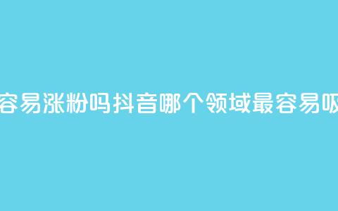 抖音做什么赛道最容易涨粉吗 - 抖音哪个领域最容易吸引粉丝增长。  第1张