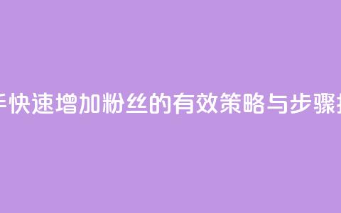 快手快速增加粉丝的有效策略与步骤指南  第1张