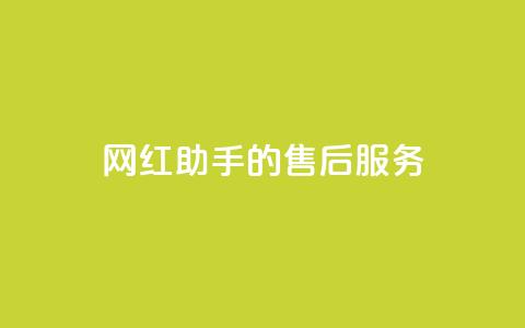 网红助手的售后服务,网红商城自助下单网址是多少 - 抖音下单24小时最低价 pdd刷助力软件  第1张