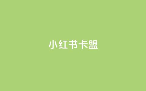 小红书卡盟,1元3000粉丝快手不掉粉 - 拼多多助力刷人软件新人 拼多多BP链接  第1张