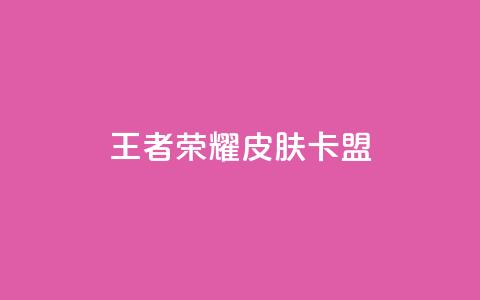 王者荣耀皮肤卡盟 - 王者荣耀皮肤卡盟，让你畅享丰富多彩的英雄皮肤世界~  第1张