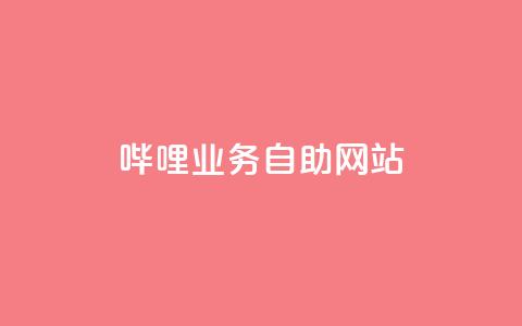 哔哩业务自助网站 - 哔哩自助网站：助力业务快人一步~  第1张