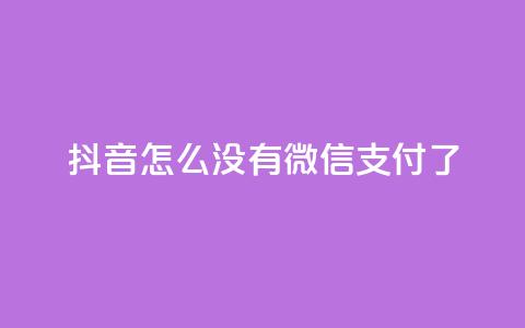 抖音怎么没有微信支付了 - 抖音为何取消微信支付功能的原因分析! 第1张 抖音怎么没有微信支付了 - 抖音为何取消微信支付功能的原因分析! 第1张
