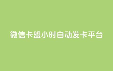 微信卡盟24小时自动发卡平台 - 最佳SEO实践：全天候自动发卡平台,微信卡盟买卡24小时服务~  第1张