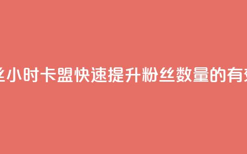 24小时卡盟粉丝 - 24小时卡盟：快速提升粉丝数量的有效策略。  第1张
