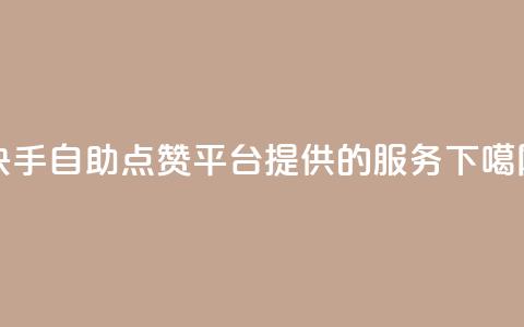 快手自助点赞平台提供的服务 第1张 快手自助点赞平台提供的服务 第1张