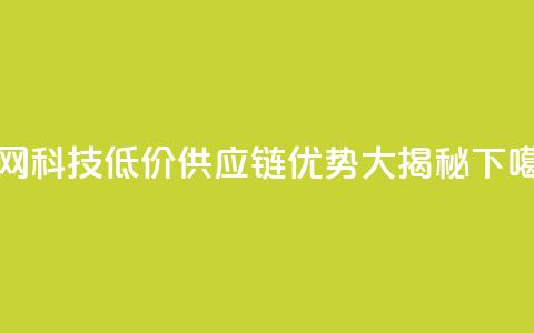 全网科技低价供应链优势大揭秘 第1张 全网科技低价供应链优势大揭秘 第1张