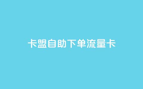 卡盟自助下单流量卡 - 如何购买自助下单流量卡?SEO编辑带你一步步了解! 第1张 卡盟自助下单流量卡 - 如何购买自助下单流量卡?SEO编辑带你一步步了解! 第1张