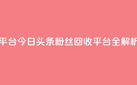 今日头条粉丝回收平台 - 今日头条粉丝回收平台全解析与使用指南! 第1张 今日头条粉丝回收平台 - 今日头条粉丝回收平台全解析与使用指南! 第1张